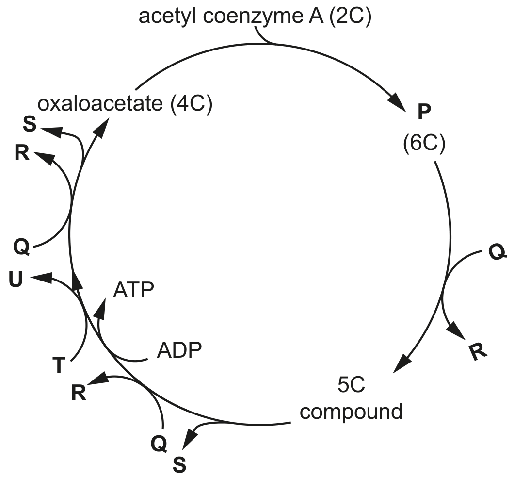 Fig. 1.1