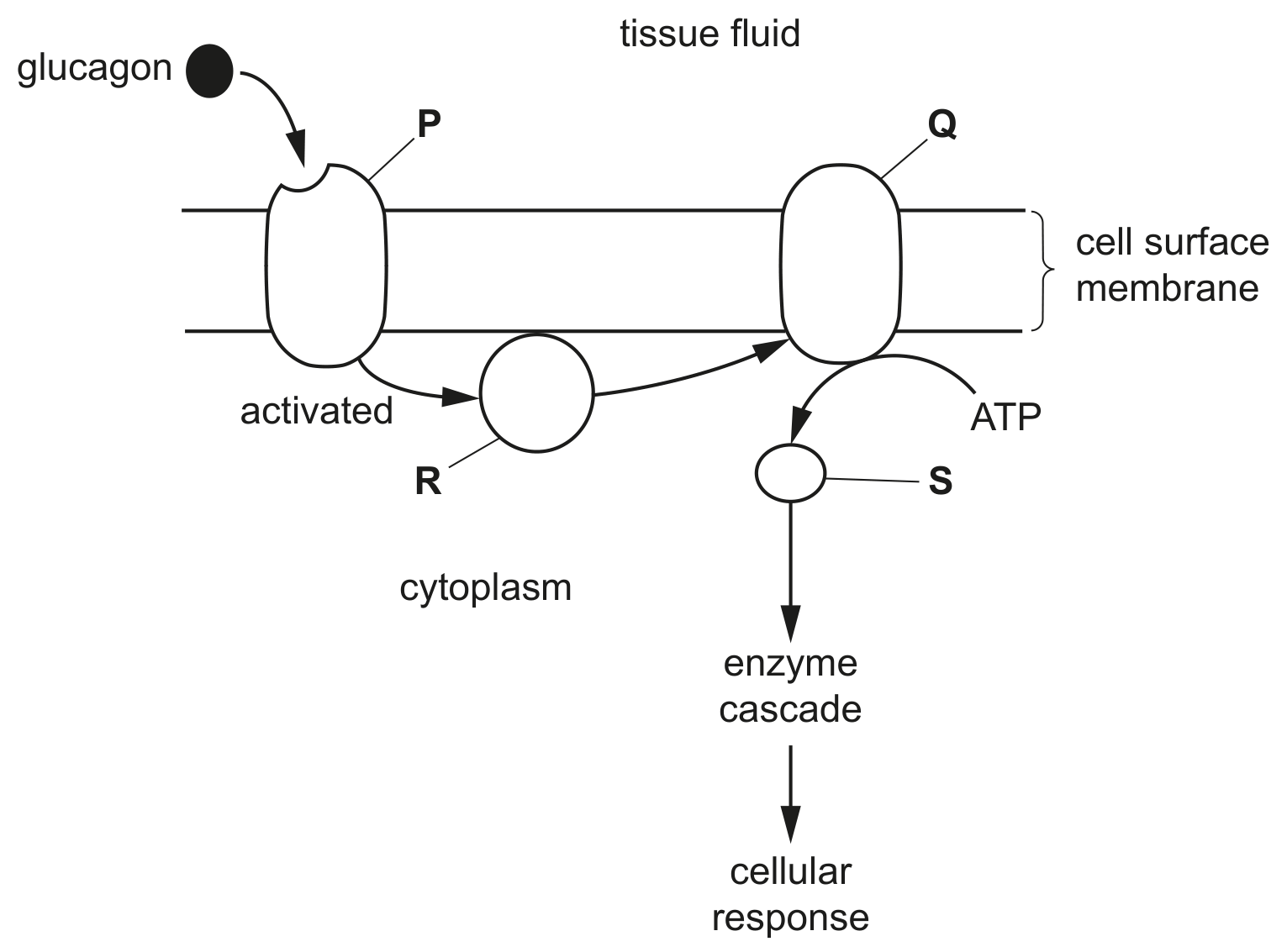 Fig. 6.1