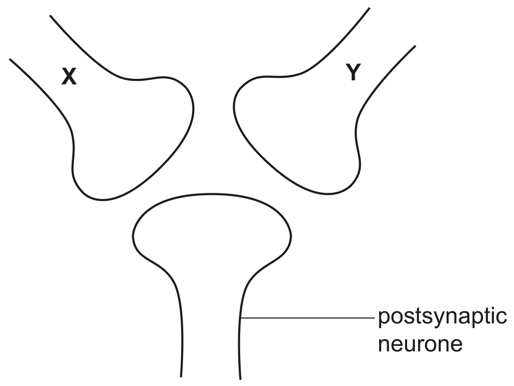 Fig. 7.1