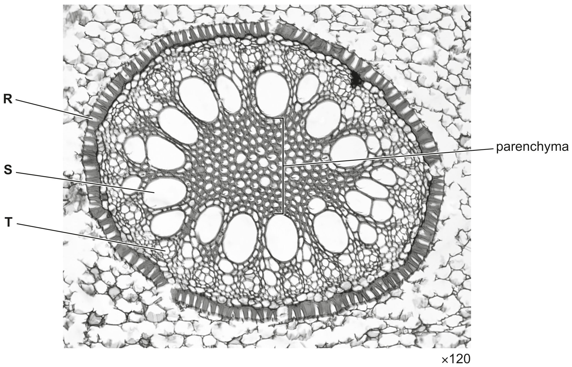 Fig. 3.1