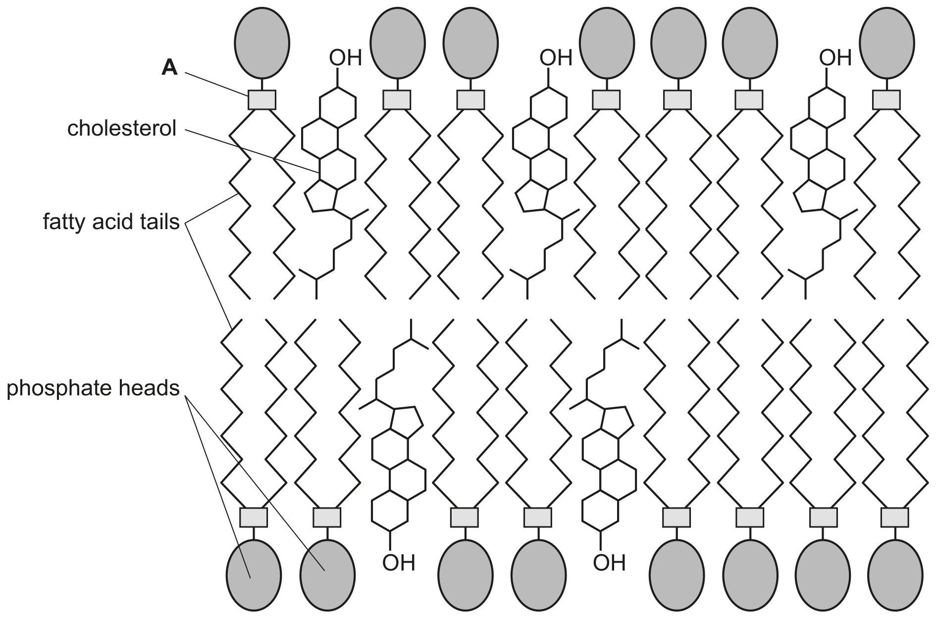Fig. 1.1
