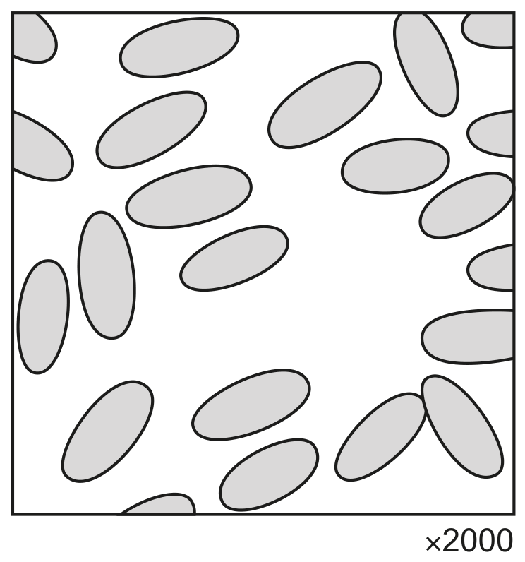 Fig. 2.1