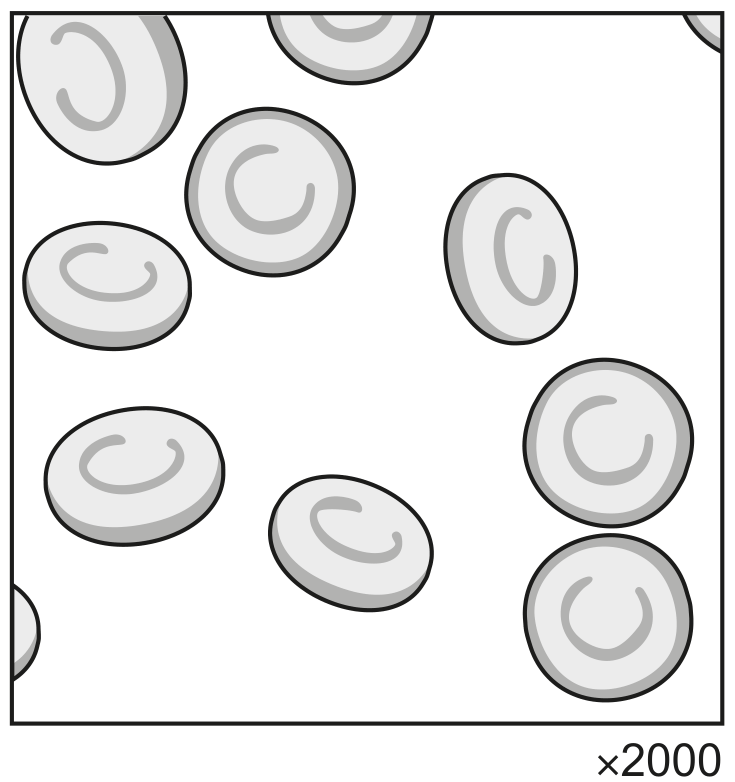 Fig. 2.2