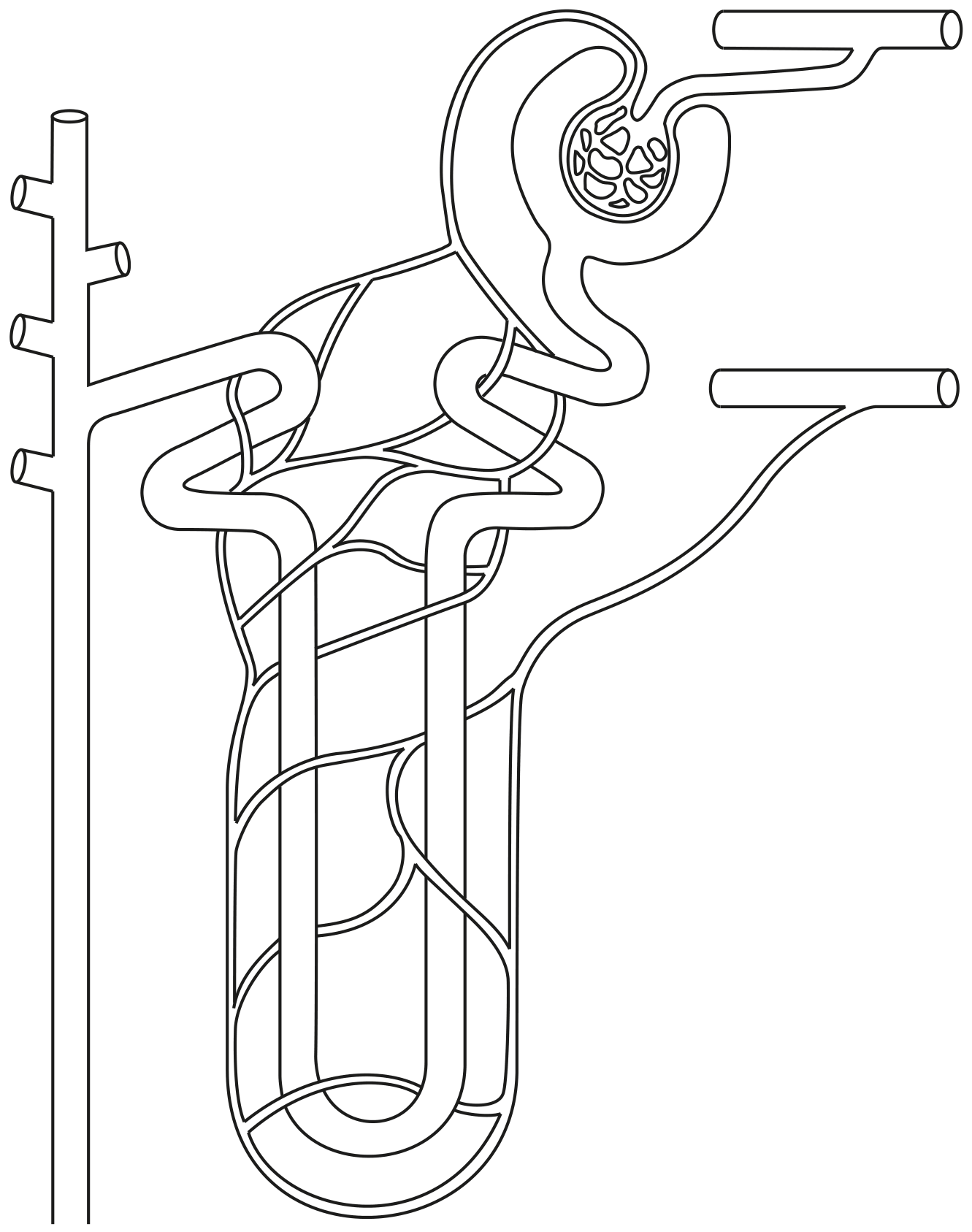 Fig. 1.1
