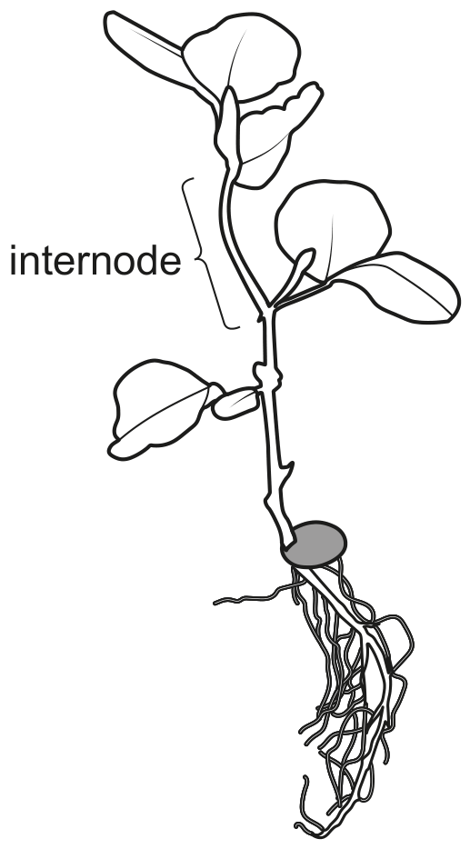 Fig. 2.1