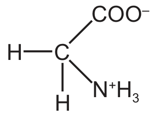 glycine