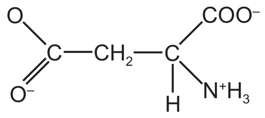 aspartate