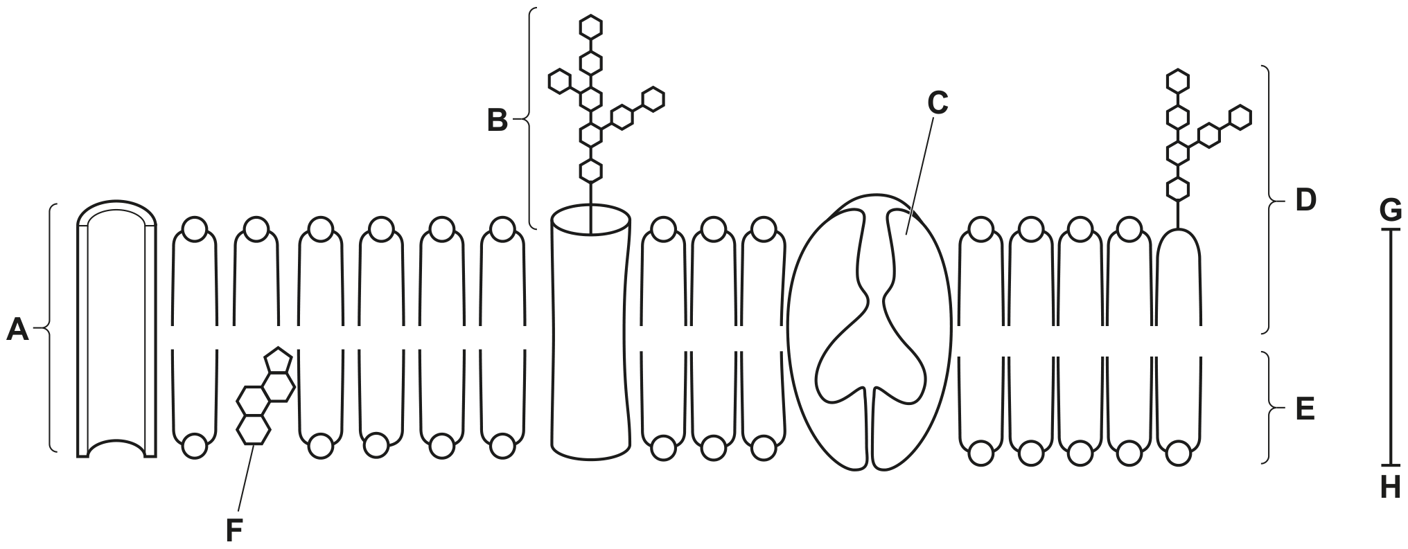 Fig. 1.1