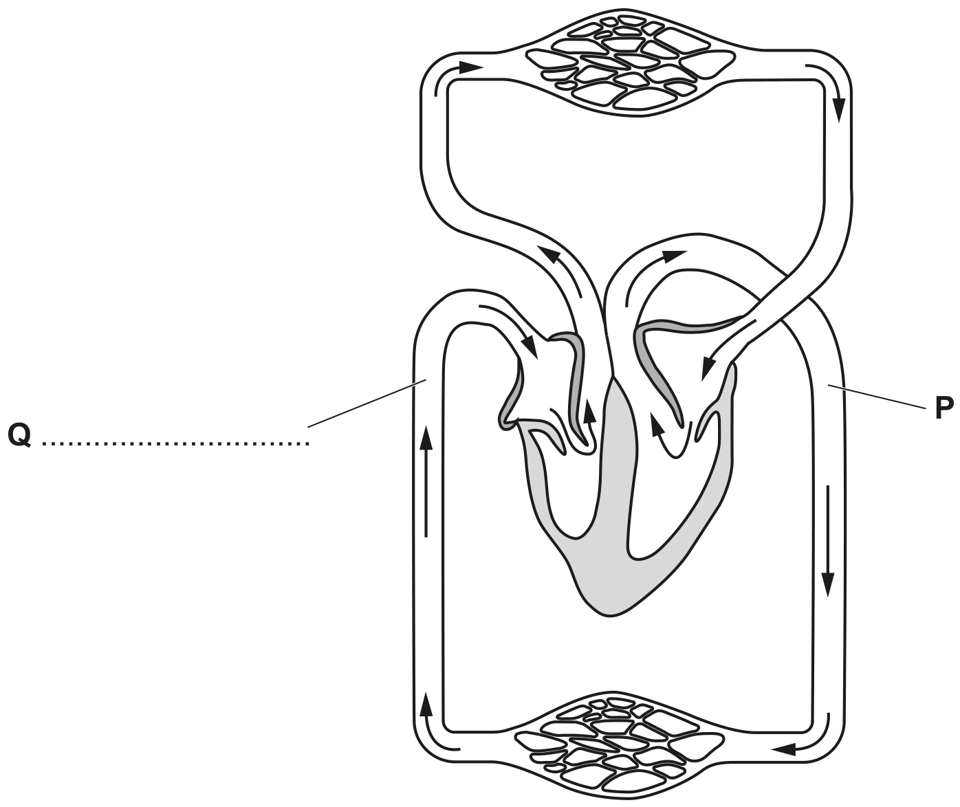 Fig. 2.1