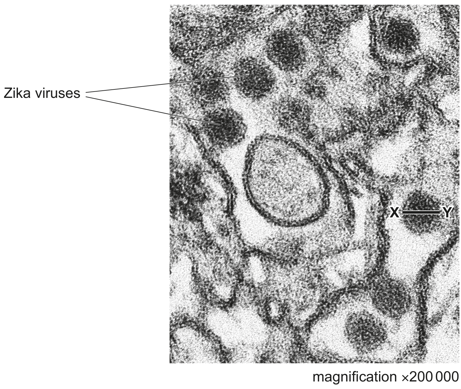 Fig. 1.2