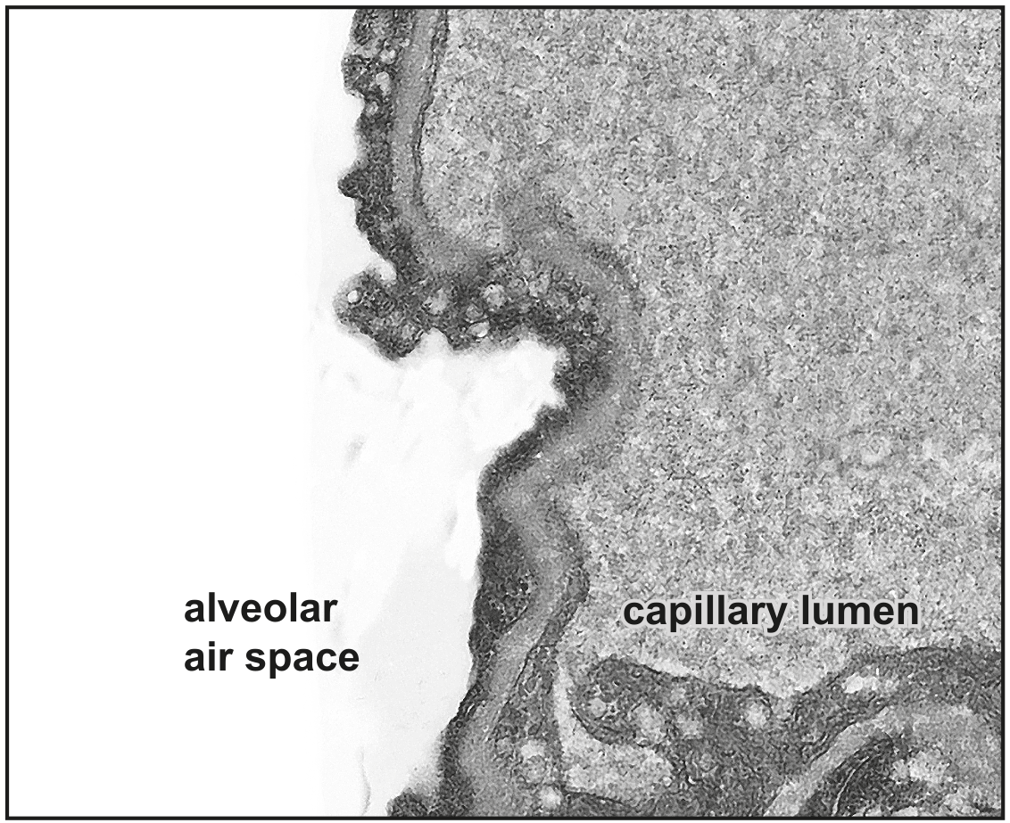 Fig. 3.1