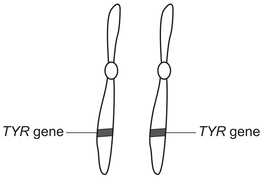 Fig. 6.1