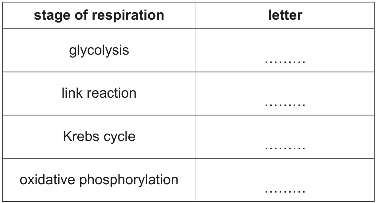Table 1.1