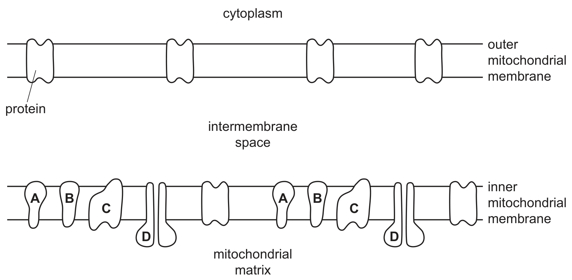 Fig. 6.1