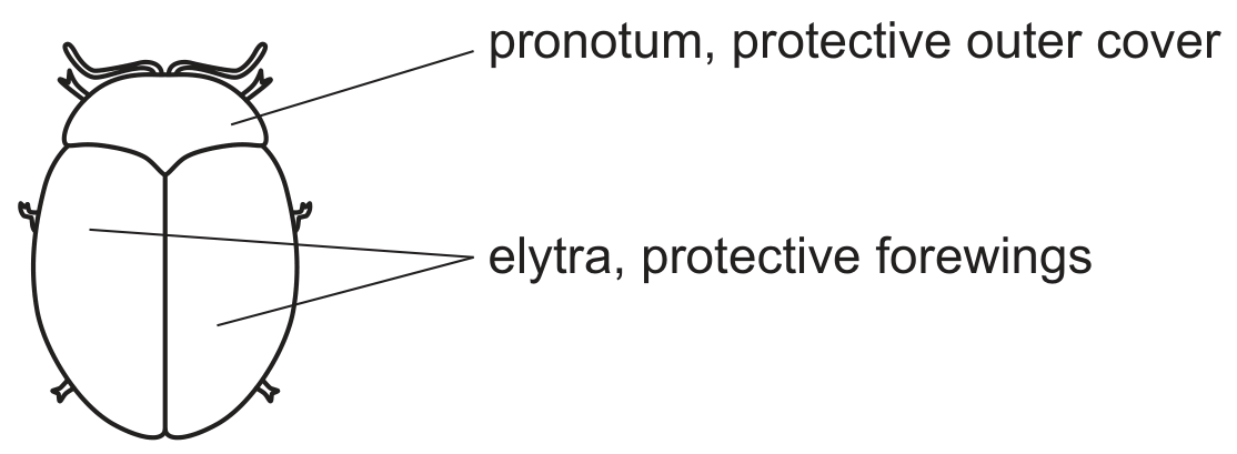 Fig. 3.1
