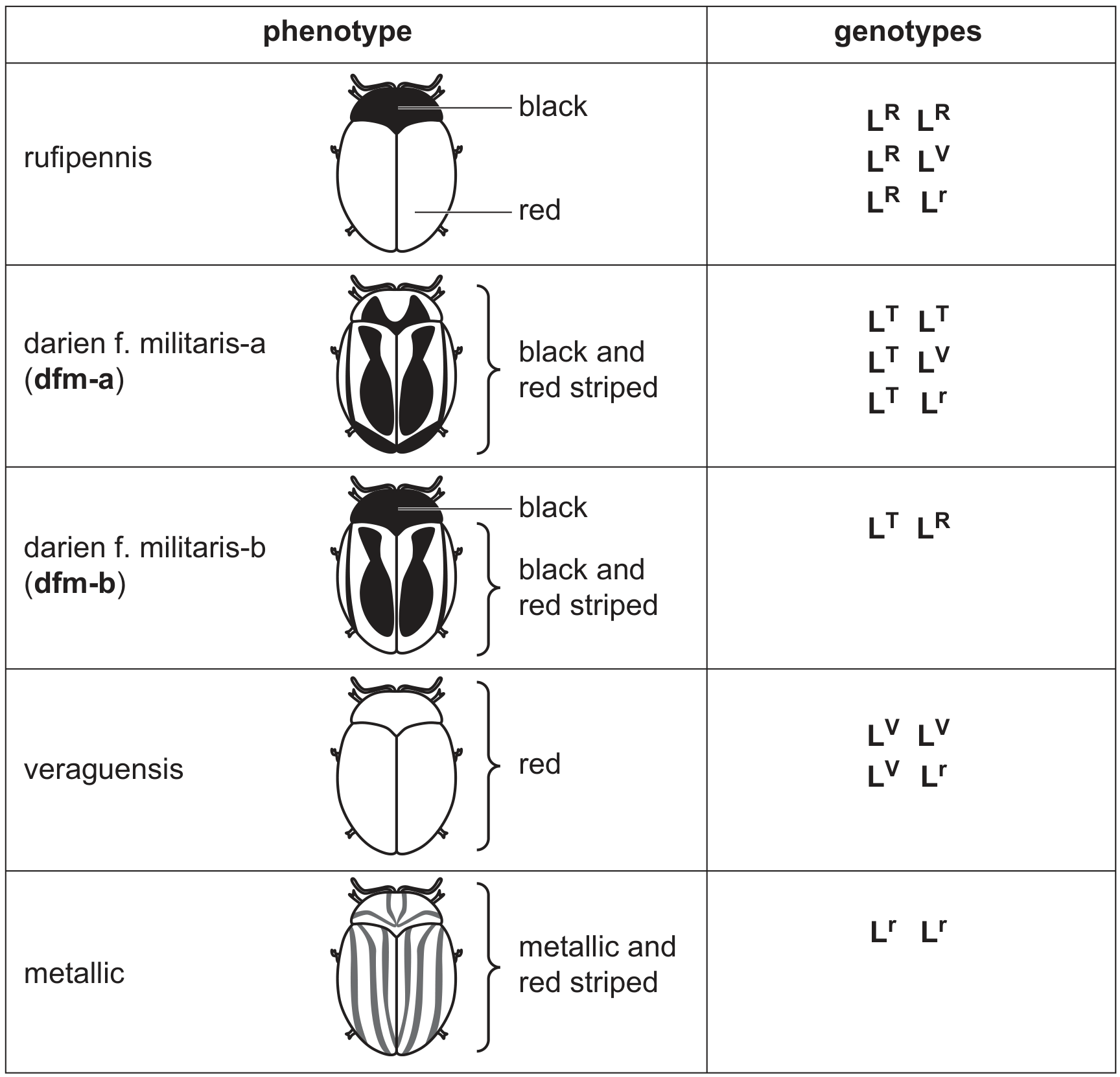 Table 3.1