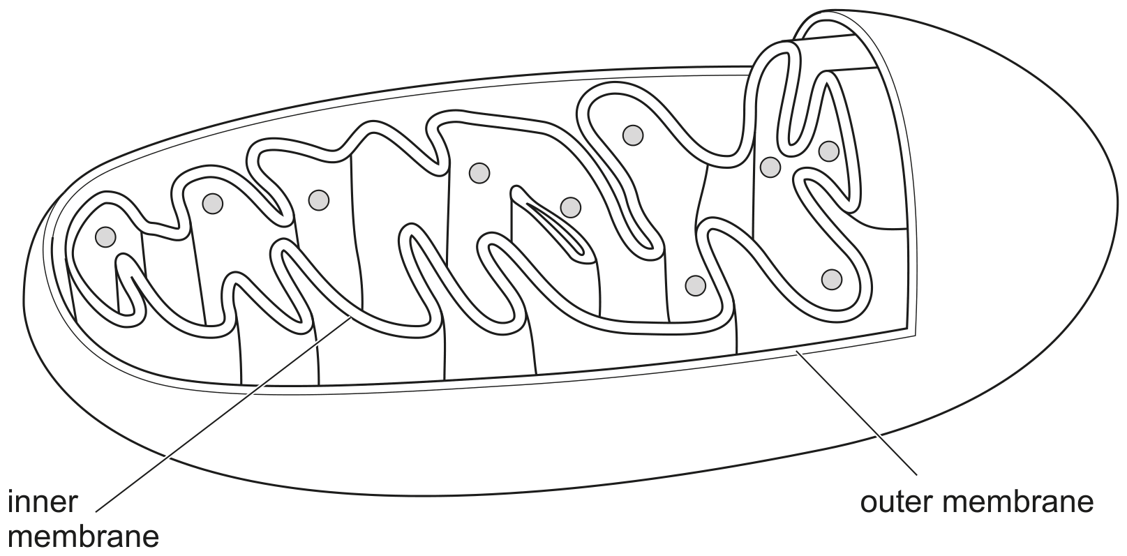 Fig. 8.1