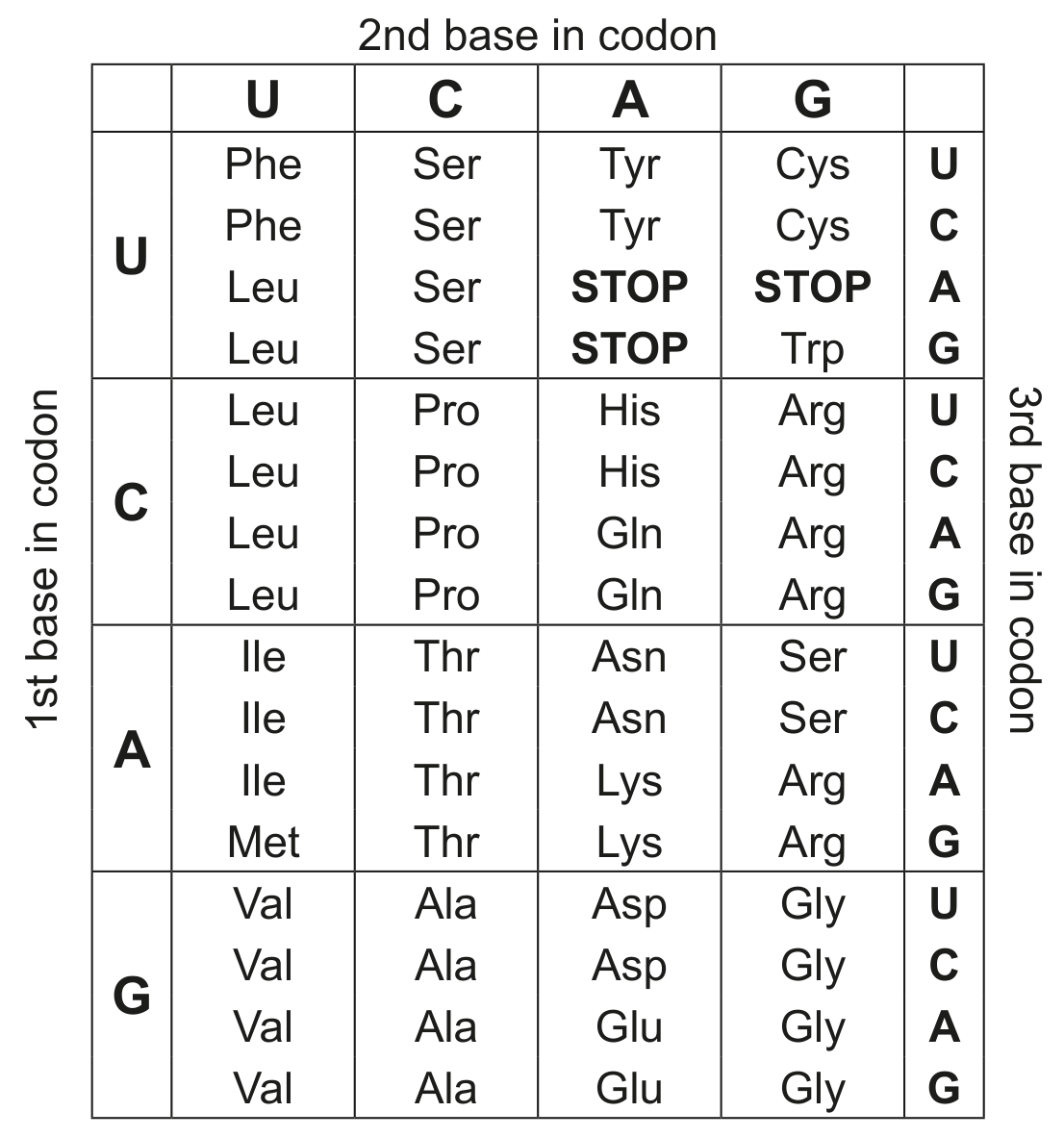 Table