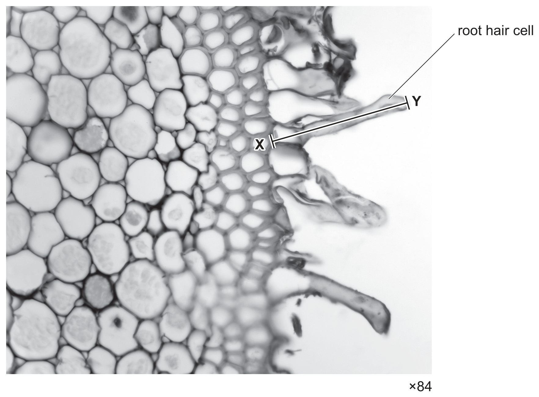Fig. 1.1